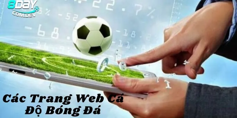 Một vài điểm chú ý khi tham gia các trang web cá độ