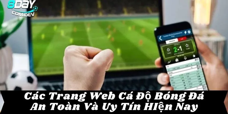 các trang web cá độ bóng đá