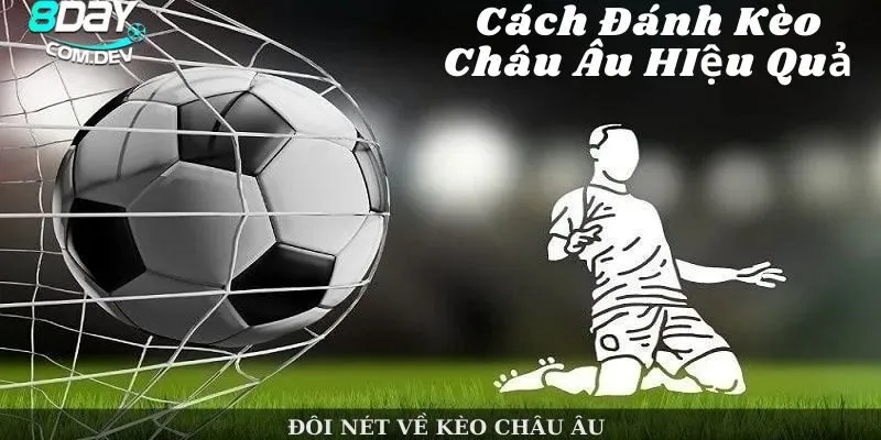 Những lưu ý khi tham gia cá cược tại nền tảng