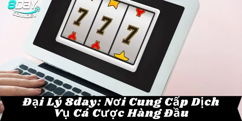 Đại Lý 8day