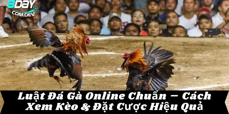 luật đá gà online